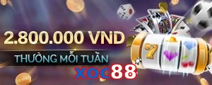 xoc88