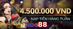 xoc88
