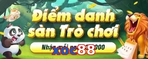 xoc88