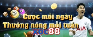 xoc88